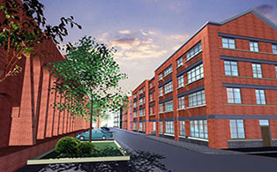 mint-illustration-2web